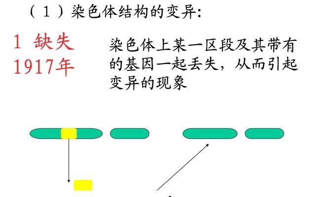 《变异5技能选择攻略大全》（掌握技能选择，成为变异5高手！）
