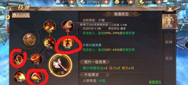 圣拳技能加点攻略（精准分析，提升战力轻而易举）