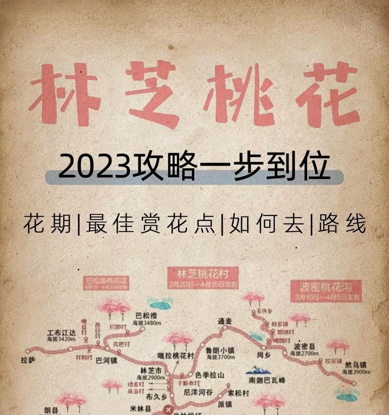 桃花手游通缉攻略（解密通缉系统，玩转桃花手游，抢尽江湖荣耀）
