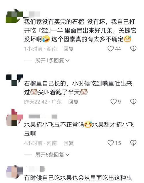 《以老爸去哪儿找茬攻略》（父子亲情大考验——老爸去哪儿找茬攻略）