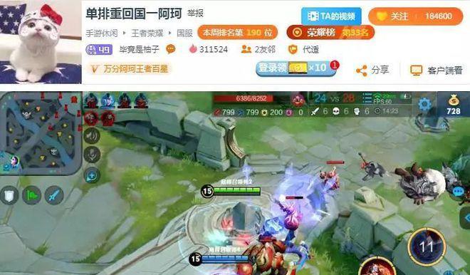 王者荣耀柚子教程（跟着柚子学习最强王者出装策略，稳定上分无压力！）