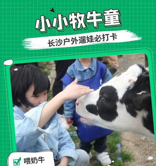 探索福州奶牛牧场（一起来了解福州奶牛牧场的魅力吧！）