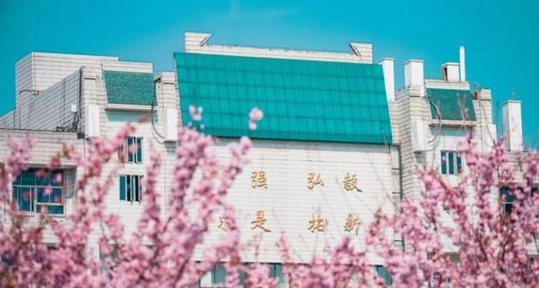 天下争锋养成攻略（胜者为王的秘诀揭秘，提升实力争夺世界霸主的必备指南）